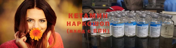 шишки Армянск