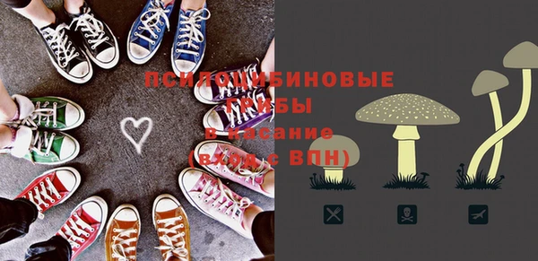ГАЛЛЮЦИНОГЕННЫЕ ГРИБЫ Алексин