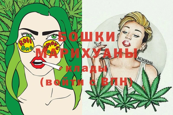 шишки Армянск