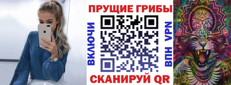 МЕГА tor  хочу наркоту  Ковылкино  Галлюциногенные грибы мухоморы 