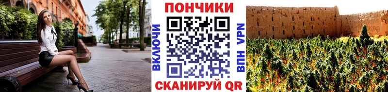 где продают наркотики  Ковылкино  shop состав  Канабис White Widow 